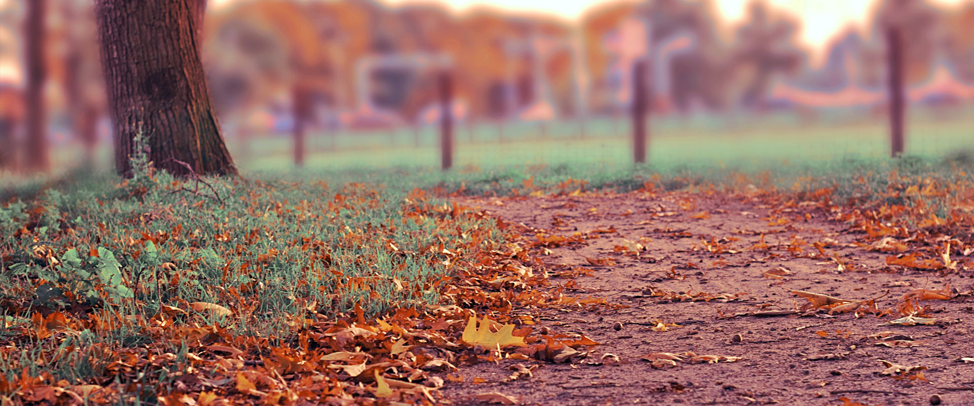 自动充值的免费24小时不停呼叫软件下载