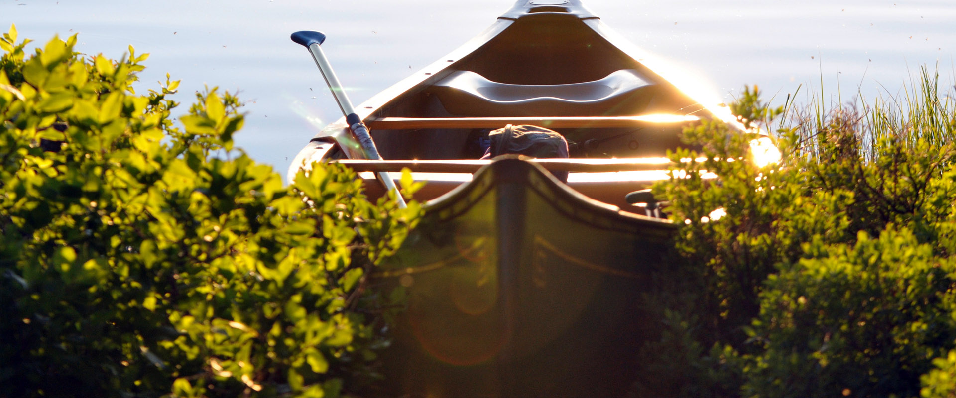 可以留电话的骚扰网站