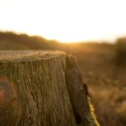 短信测试网站免费