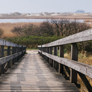 手机号测压网站