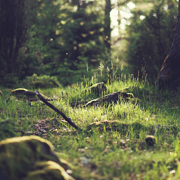 免费呼叫轰炸神器网页版